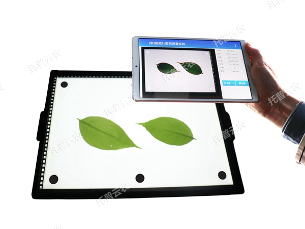 智能葉面積測(cè)量系統(tǒng) YMJ-CHA3