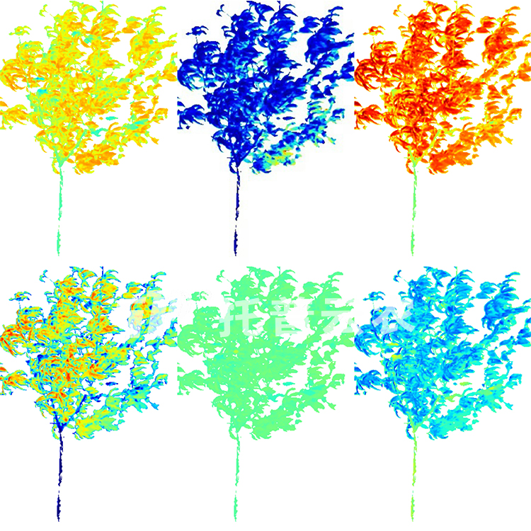 果樹解析圖(水?。?jpg